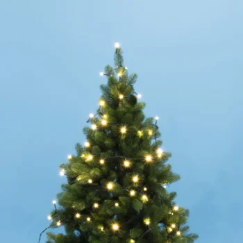 Lampice za jelku sa 100 toplo belih LED dioda KII100/WW-1 Lampice za jelku sa 100 toplo belih LED dioda KII100/WW-1